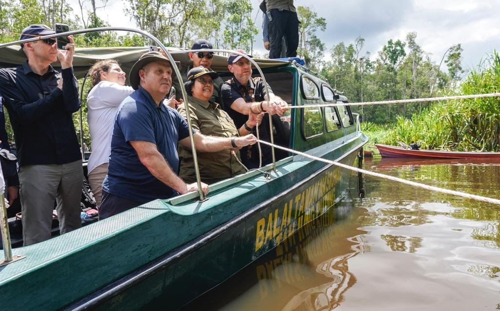 Kerja Sama KLHK-USAID Dimulai Dari Orangutan Taman Nasional Tanjung Puting