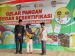 Pangan Segar Asal Tumbuhan (PSAT) Pisang Barangan Merah Desa Lunjuk