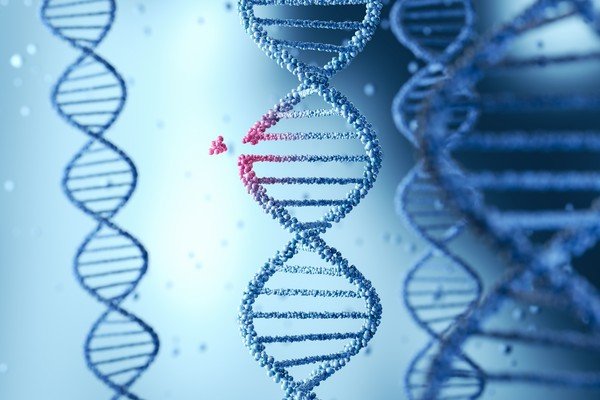 Pengantar Genetika: Memahami Bagaimana Gen Membentuk Kehidupan