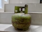 IMG_20231104_071413