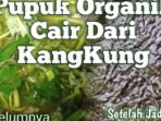 Pupuk organik