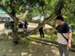 Aj pelaku penusukan