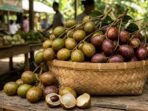 Matoa, buah hutan Papua