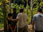 Gebrak Cepat Satreskrim Benteng: Pelaku Penusukan TGP (18) Langsung Dibekuk Tanpa Perlawanan