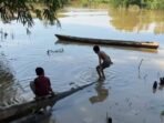 Pencemaran Misterius di Sungai Lemau: Air Hitam, Ikan Menghilang, Warga Butuh Tindakan