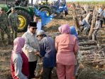 Panen Raya Tebu, Presiden Dengarkan Aspirasi Petani