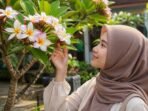Kamboja: Dari Makam ke Pura — Warna, Wangi, dan Filosofi yang Mengikat Tradisi