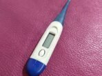 Termometer: Si Kecil Penentu Nasib di Tangan Bidan Pelosok