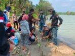 Rayakan Harlah ke-11, GPA Gendong Adventure Tanam 1.000 Mangrove di Pesisir Bengkulu Tengah