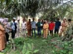 Limbah Pabrik Sawit PT PMS Disorot! DLH dan Komisi II DPRD Benteng Turun ke Lapangan